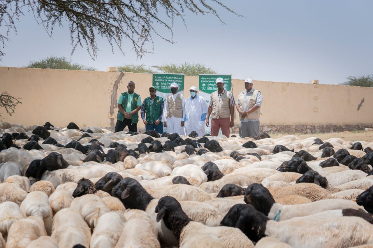 Qurban Distribution