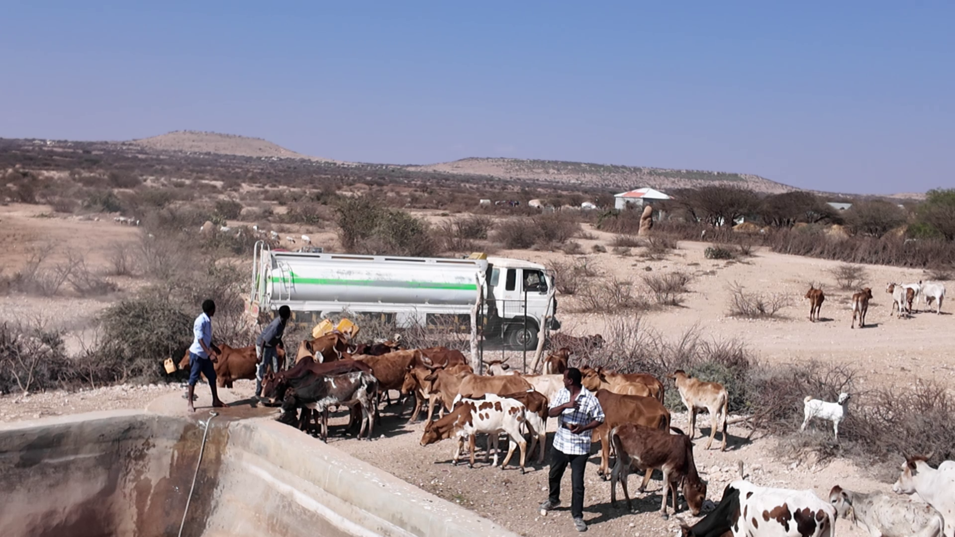 Emergency Water Distribution