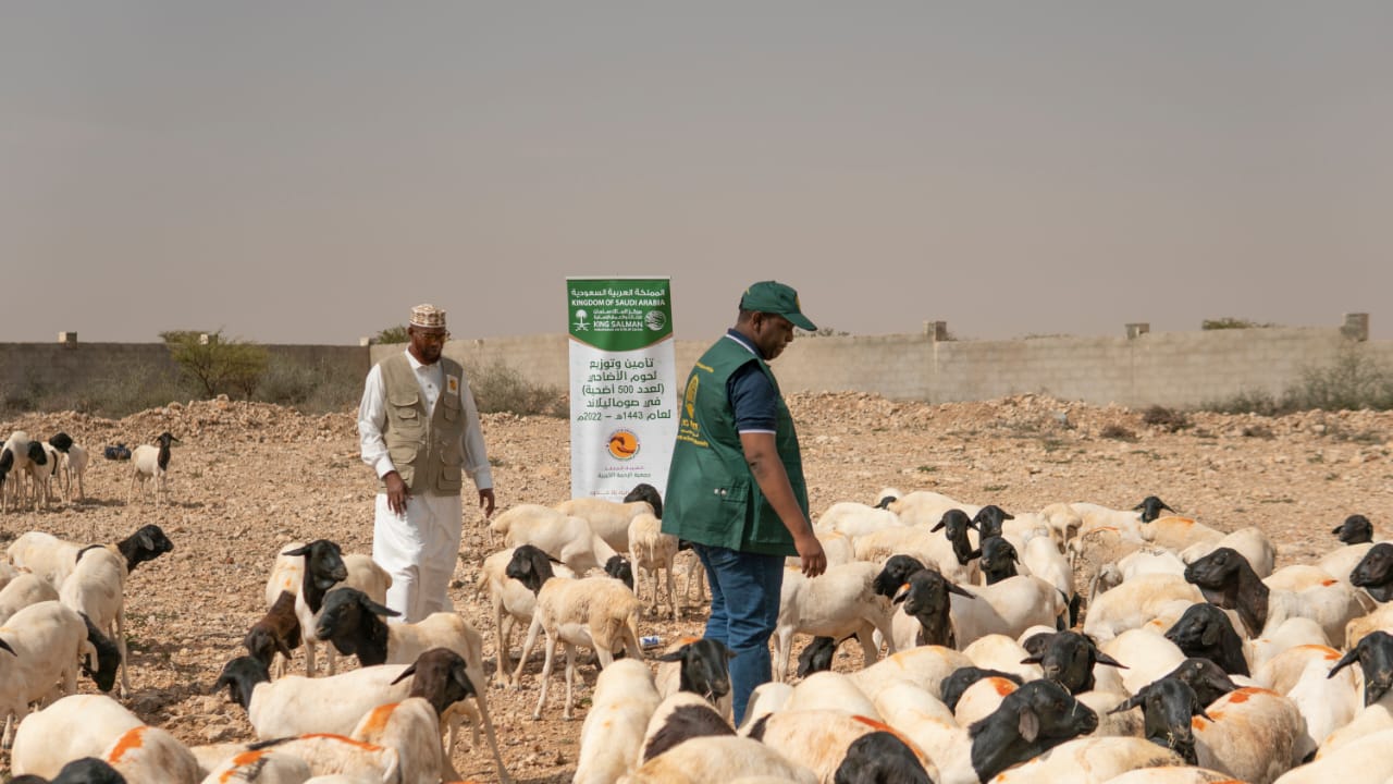 مشروع توزيع الأضاحي