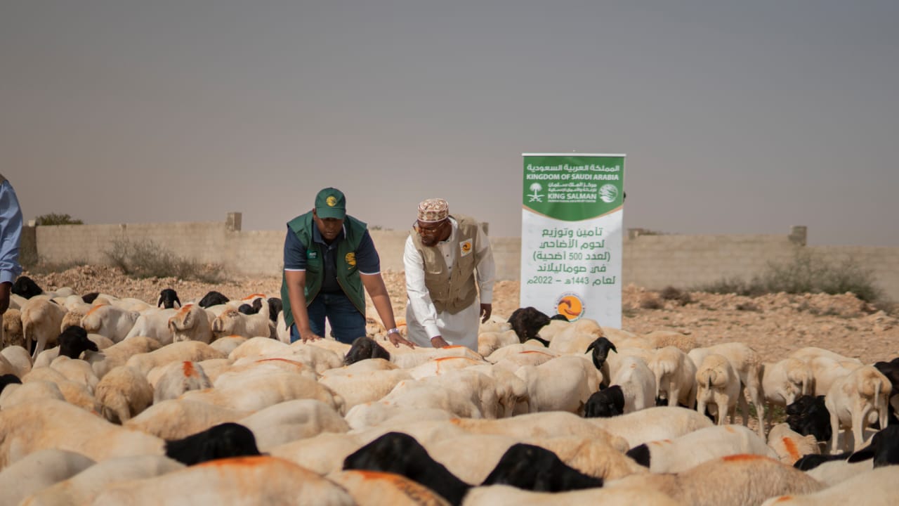 Qurban Appeal